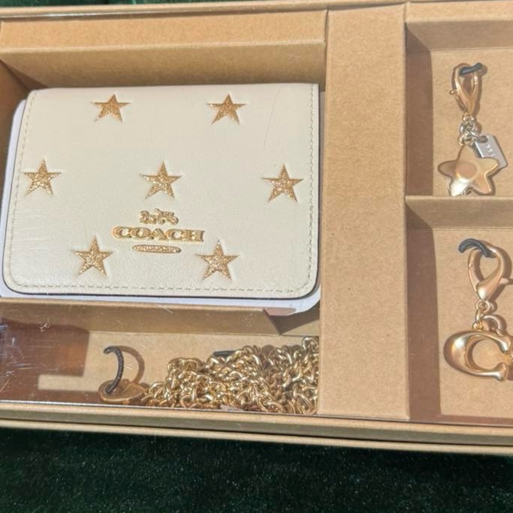 Coach White Gold Stars Mini Wallet on Chain